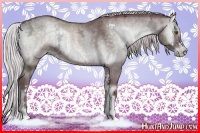 Horse Color:Chocolate Silver Blue Onyx Chinchilla Ice Sabino Brindle