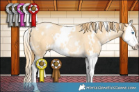 Horse Color:White Spotted Buckskin Pearl Splash Rabicano