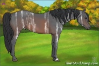 Horse Color:Brown Ice 