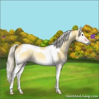 Horse Color:Silver Buckskin Onyx Tobiano