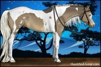 Horse Color:White Spotted Liver Chestnut Tobiano 