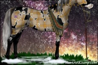 Horse Color:Plaid  White Spotted Brown Dun Sabino Splash 