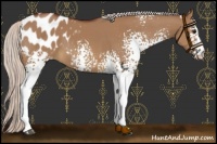 Horse Color:White Spotted Chocolate Silver Brown Dun Blanket 