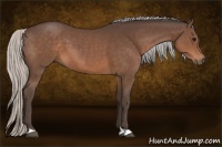 Horse Color:Silver Brown 