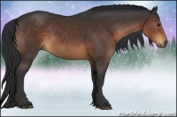 Horse Color:Brown Rabicano 