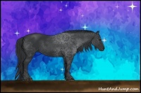 Horse Color:Black Rabicano 