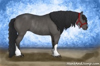 Horse Color:Black Rabicano 