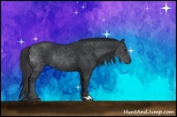 Horse Color:Black Rabicano 