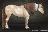 Horse Color:White Spotted Brown Pearl Dun Rabicano 