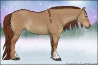 Horse Color:Red Dun Sabino Rabicano