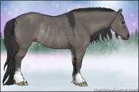 Horse Color:Grullo Sabino Rabicano