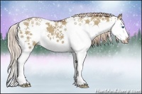Horse Color:Liver Red Dun Sabino Splash 