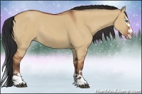 Horse Color:Bay Dun Sabino Splash Rabicano 