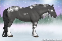 Horse Color:Black Ice Sabino Tobiano Rabicano