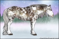 Horse Color:Silver Brown Ice Onyx Sabino