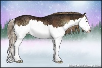 Horse Color:Liver Red Onyx Ice Splash Rabicano 