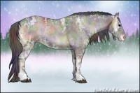 Horse Color:Nacre Blue Onyx Ice Sabino Varnish 