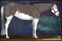 Horse Color:Brown Ice Splash