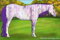 Horse Color:Watercolor Bay Ice 