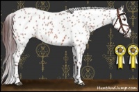 Horse Color:Chocolate Bay Roan Leopard 