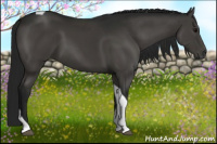 Horse Color:Gray Black Tobiano Rabicano 