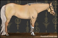 Horse Color:Silver Bay Dun