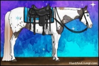 Horse Color:Midnight Chestnut Ice Splash Tobiano Appaloosa 