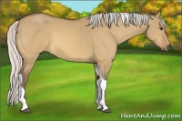 Horse Color:Silver Buckskin Dun Tobiano 