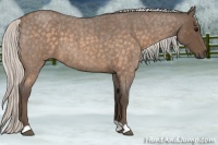 Horse Color:Silver Buckskin Roan 