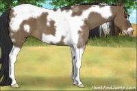 Horse Color:Liver Red Dun Tobiano Frame Brindle 