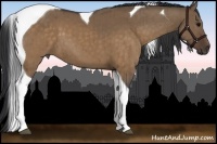 Horse Color:Brown Dun Tobiano Brindle 