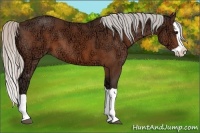 Horse Color:Silver Brown Ice Splash 