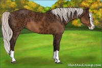 Horse Color:Silver Brown Ice Splash 