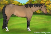 Horse Color:Brown Roan Dun 