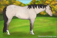 Horse Color:Sable Champagne Roan Dun 