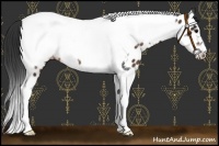 Horse Color:Bay Tobiano Frame Appaloosa 