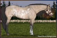 Horse Color:Buckskin Roan Dun Frame  and Bay Roan Dun 