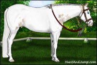 Horse Color:Silver Buckskin Pearl Splash Tobiano Near Leopard