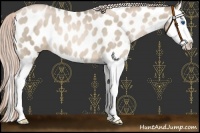 Horse Color:Chocolate Palomino Roan Pearl Splash Near Leopard 