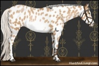Horse Color:Silver Bay Pearl Sabino Frame Leopard Rabicano 