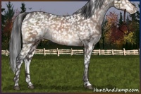 Horse Color:Brown Mushroom Snowflake Varnish 