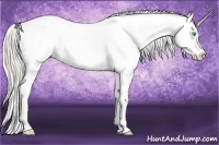 Horse Color:Perlino Sabino and Perlino Sabino