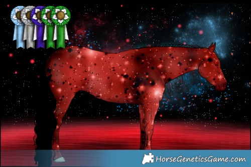 Horse Color:ERROR: UNKNOWN ANOMALY