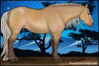 Horse Color:Silver Bay Dun