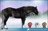 Horse Color:Midnight Brown Ice Onyx Sabino