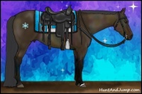 Horse Color:Midnight Bay Dun 