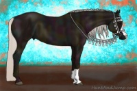 Horse Color:Midnight Silver Black 