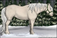 Horse Color:Cremello 