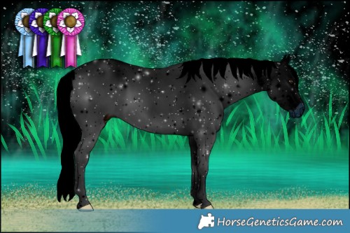 Horse Color:ERROR: UNKNOWN ANOMALY