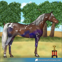 Horse Color:White Spotted Liver Chestnut Mushroom